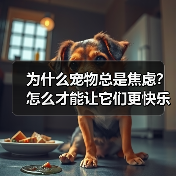 为什么宠物总是焦虑？怎么才能让它们更快乐？（图3）