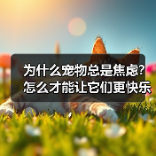 为什么宠物总是焦虑？怎么才能让它们更快乐？（图4）