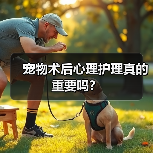 宠物术后心理护理真的重要吗？（图3）