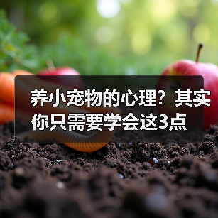 养小宠物的心理？其实你只需要学会这3点（图1）