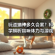玩逗猫棒多久会累？科学解析猫咪体力与游戏时长（图3）