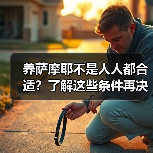 养萨摩耶不是人人都合适？了解这些条件再决定（图2）