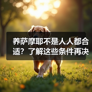 养萨摩耶不是人人都合适？了解这些条件再决定（图3）