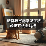 藏獒肠胃病常见症状+预防方法全解析