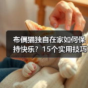布偶猫独自在家如何保持快乐？15个实用技巧助它安心度日
