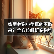 家里养狗小偷真的不敢来？全方位解析宠物狗的防盗威慑力
