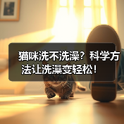 猫咪洗不洗澡？科学方法让洗澡变轻松！（图2）