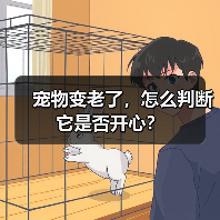 宠物变老了，怎么判断它是否开心？（图2）