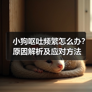 小狗呕吐频繁怎么办？原因解析及应对方法（图2）
