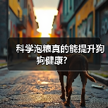 科学泡粮真的能提升狗狗健康？（图3）