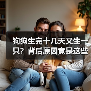 狗狗生完十几天又生一只？背后原因竟是这些！（图3）