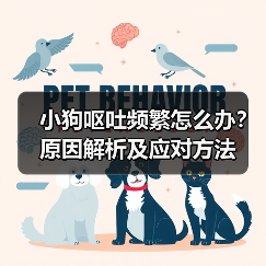 小狗呕吐频繁怎么办？原因解析及应对方法（图4）