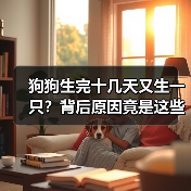狗狗生完十几天又生一只？背后原因竟是这些！（图4）