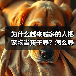 为什么越来越多的人把宠物当孩子养？怎么养才对？（图2）