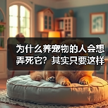 为什么养宠物的人会想弄死它？其实只要这样做就能解决（图3）
