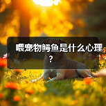 喂宠物鳄鱼是什么心理？