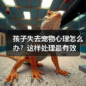 孩子失去宠物心理怎么办？这样处理最有效（图2）