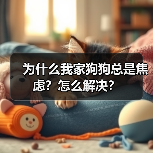 为什么我家狗狗总是焦虑？怎么解决？