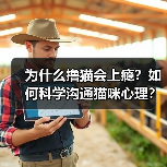 为什么撸猫会上瘾？如何科学沟通猫咪心理？（图2）
