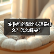 宠物狗的攀比心理是什么？怎么解决？（图3）