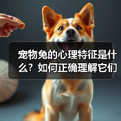 宠物兔的心理特征是什么？如何正确理解它们？（图2）