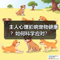 主人心理影响宠物健康？如何科学应对？