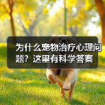 为什么宠物治疗心理问题？这里有科学答案（图1）
