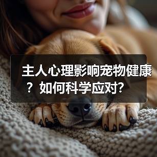 主人心理影响宠物健康？如何科学应对？（图2）