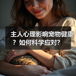 主人心理影响宠物健康？如何科学应对？（图4）