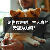 宠物攻击时，主人真的无能为力吗？（图3）