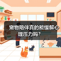 宠物陪伴真的能缓解心理压力吗？（图3）