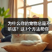 为什么你的宠物总是不听话？这3个方法帮你解决（图1）