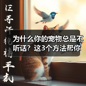 为什么你的宠物总是不听话？这3个方法帮你解决（图3）
