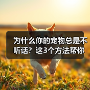为什么你的宠物总是不听话？这3个方法帮你解决（图2）