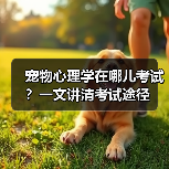宠物心理学在哪儿考试？一文讲清考试途径（图4）