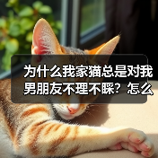 为什么我家猫总是对我男朋友不理不睬？怎么解决？（图4）