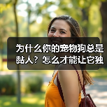 为什么你的宠物狗总是黏人？怎么才能让它独立？