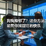 狗狗抑郁了？这些方法能帮你找回它的快乐（图2）