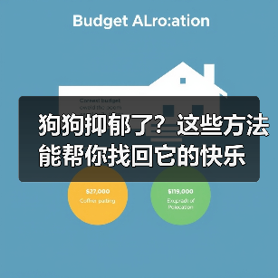 狗狗抑郁了？这些方法能帮你找回它的快乐（图4）