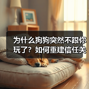 为什么狗狗突然不跟你玩了？如何重建信任关系？（图1）