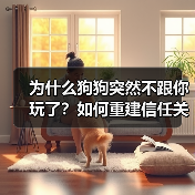 为什么狗狗突然不跟你玩了？如何重建信任关系？（图3）