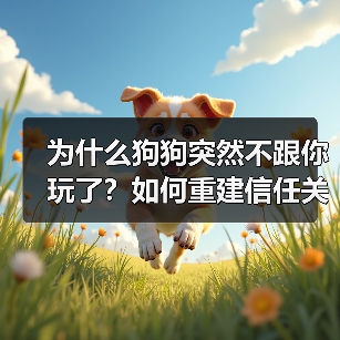 为什么狗狗突然不跟你玩了？如何重建信任关系？（图4）