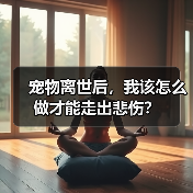 宠物离世后，我该怎么做才能走出悲伤？
