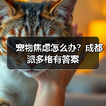 宠物焦虑怎么办？成都派多格有答案（图3）