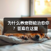为什么养宠物能治愈你？答案在这里（图2）