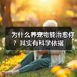 为什么养宠物能治愈你？其实有科学依据（图1）