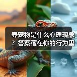 养宠物是什么心理现象？答案藏在你的行为里