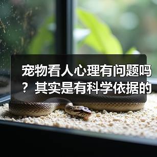 宠物看人心理有问题吗？其实是有科学依据的（图1）