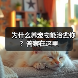 为什么养宠物能治愈你？答案在这里（图4）