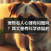 宠物看人心理有问题吗？其实是有科学依据的（图4）